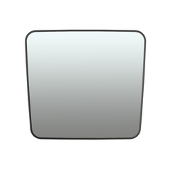 International DuraStar Prostar (02-12) Wide Angle Mirror