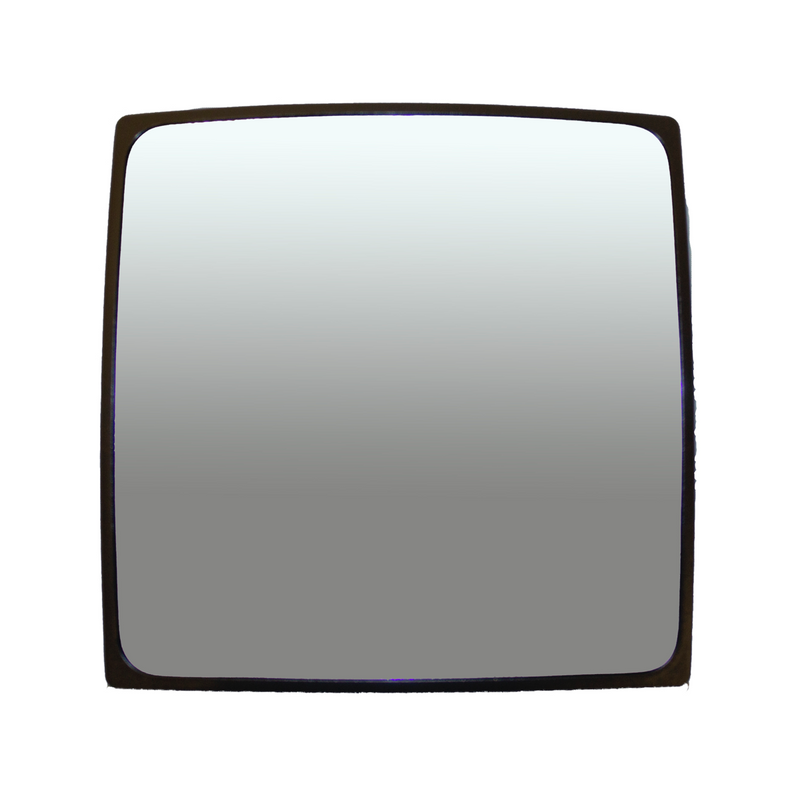 International Durastar Workstar (02-12) LoneStar (02-12) Hood Mirror Lens